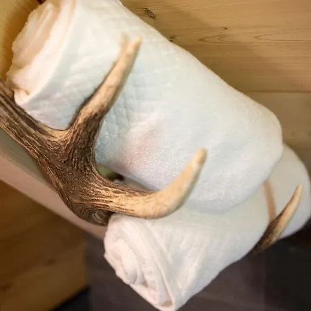 Alpesi faház Rothenbach